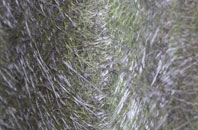 Cartsdyke fibreglass roof work